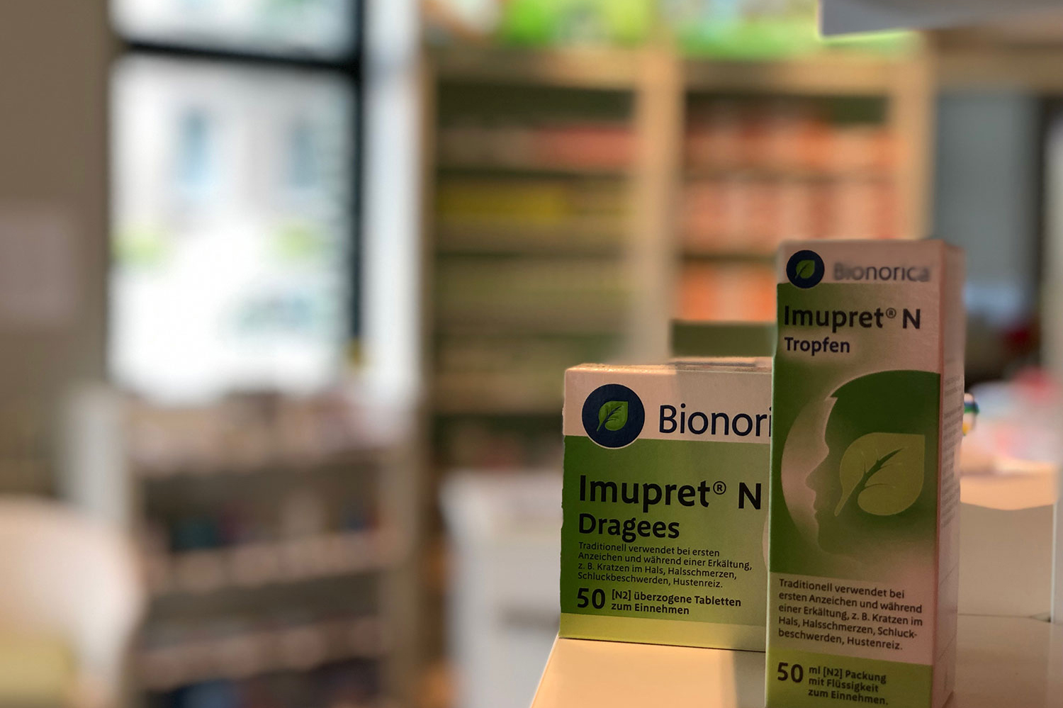 Phytothek in der grüne Apotheke Kranz Prenzlau